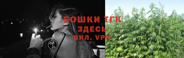 сатива Михайловка