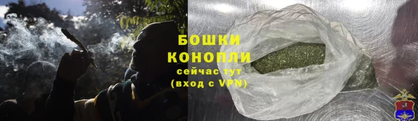 сатива Михайловка