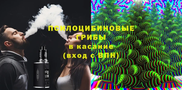 сатива Михайловка