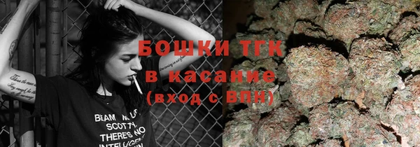 сатива Михайловка