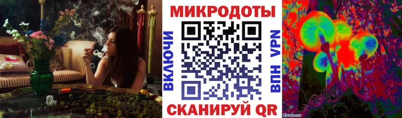 Псилоцибиновые грибы прущие грибы  Чебоксары 