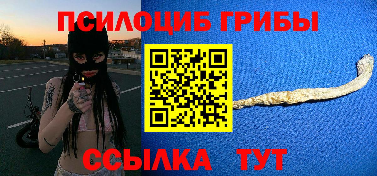 Псилоцибиновые грибы мицелий Чебоксары